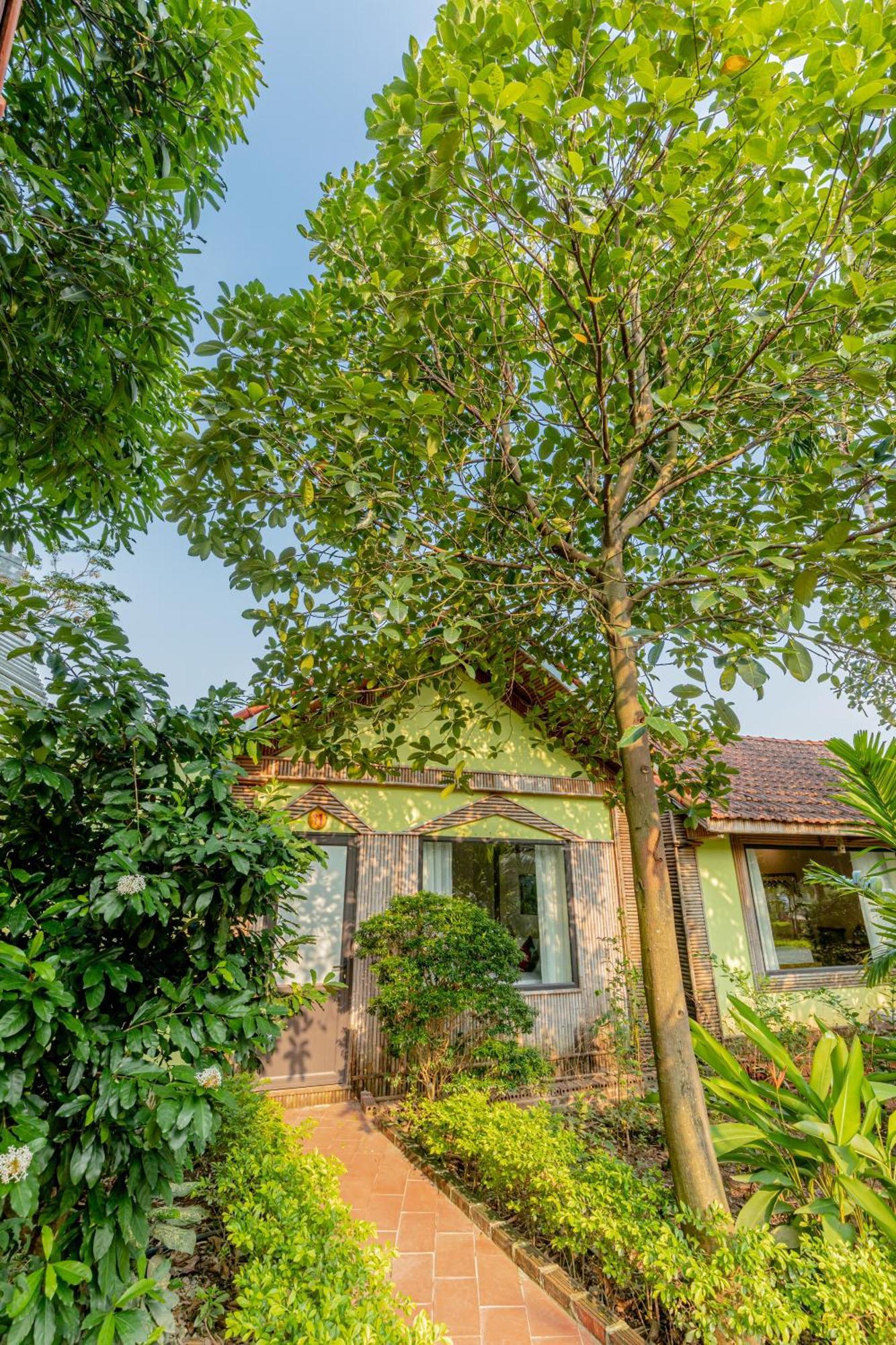 Вилла Tam Coc Green Garden Bungalow Ниньбинь Экстерьер фото