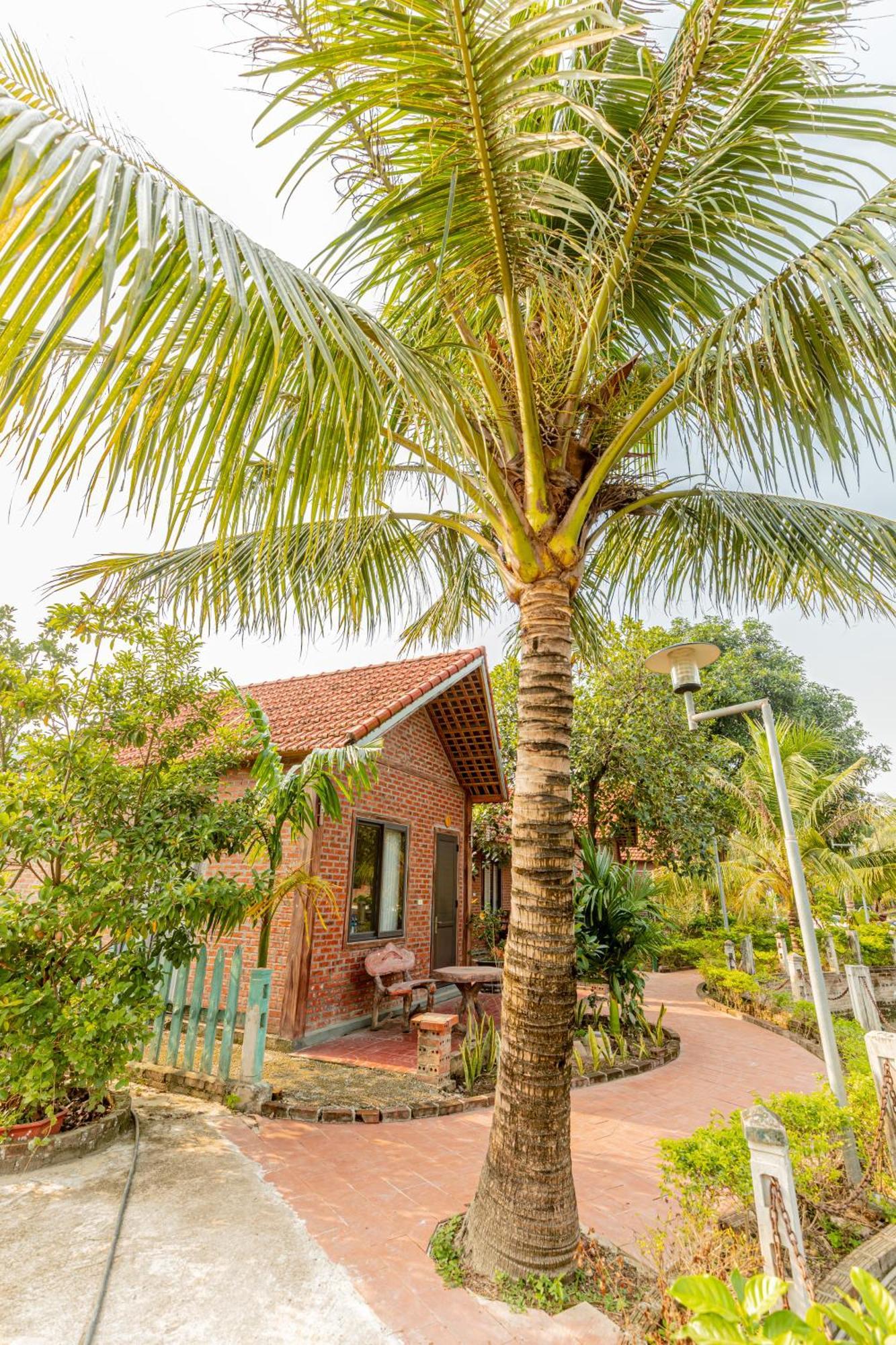 Вилла Tam Coc Green Garden Bungalow Ниньбинь Экстерьер фото