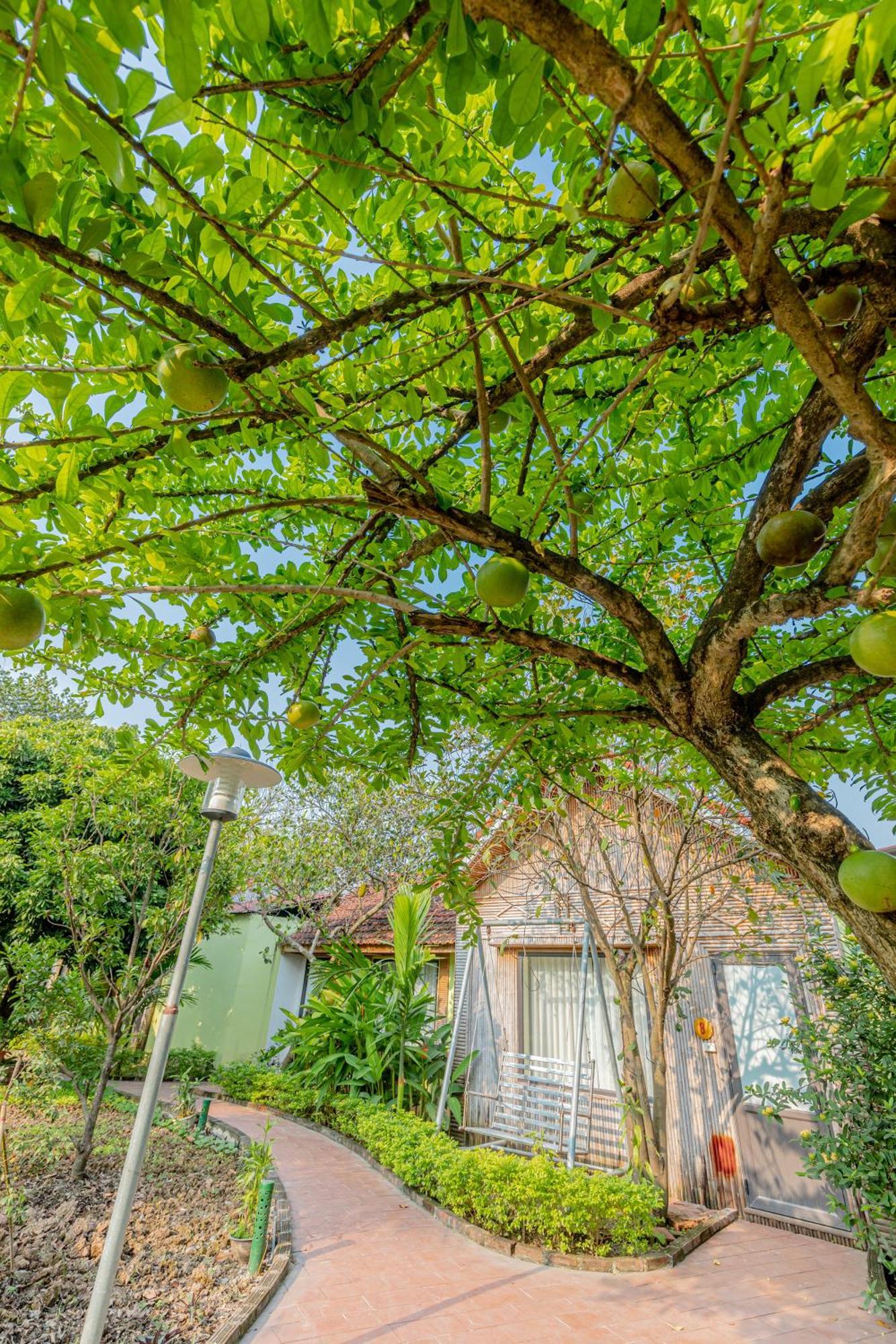 Tam Coc Green Garden Bungalow Ниньбинь Экстерьер фото